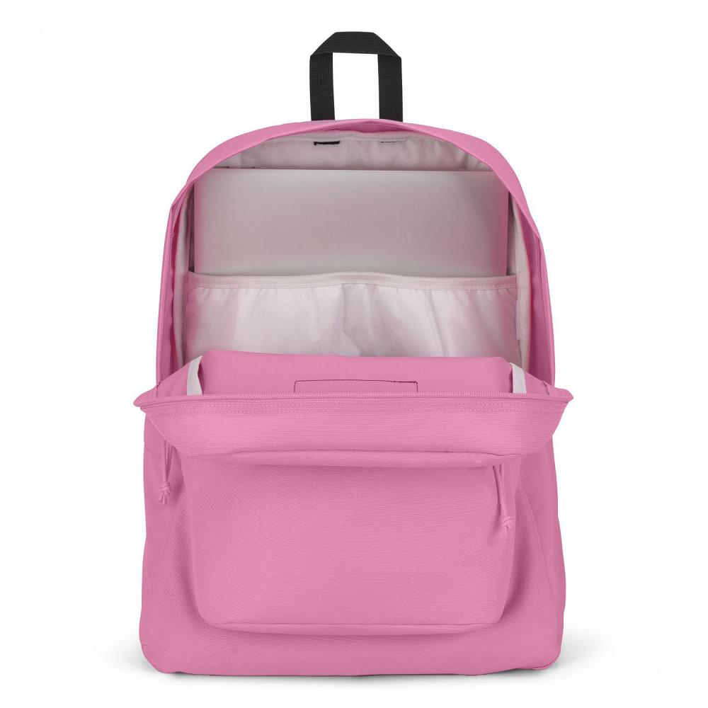 Sac à Dos Ordinateur JanSport SuperBreak? Plus Rose | JGZ-07681230